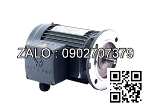 Motor giảm tốc 3 pha mặt bích Wanshsin GV40-1500W-50S