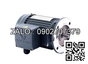 Motor giảm tốc 3 pha mặt bích Wanshsin GV32-400W-180S