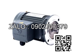 Motor giảm tốc 3 pha mặt bích Wanshsin GV28-400W-90S