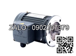 Motor giảm tốc 3 pha mặt bích Wanshsin GV28-400W-25S