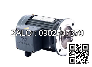 Motor giảm tốc 3 pha mặt bích Wanshsin GV22-200W-90S