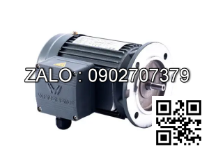 Motor giảm tốc 3 pha mặt bích Wanshsin GV22-100W-180S