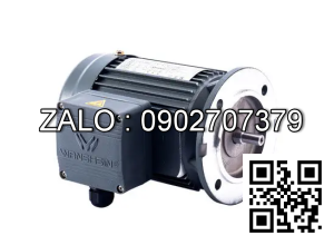 Motor giảm tốc 3 pha mặt bích Wanshsin GV22-100W-160S