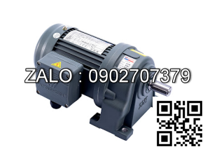 Motor giảm tốc 3 pha chân đế Wanshsin GH60-7500W-30S