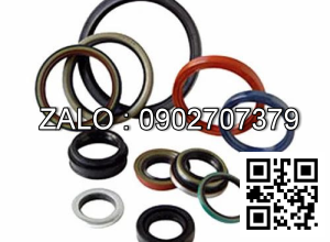 Bộ phốt D120 NOK JAPAN