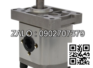 Bơm thủy lực bánh răng CBT-F412.5-ALPR