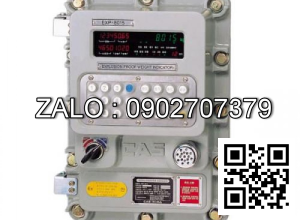 Đầu cân EXP-8510 Chống cháy nổ