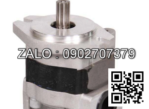 Bơm thủy lực bánh răng CBHZB-F26.5-ALXR