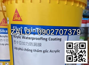 Sika Raintile - Chất chống thấm tường gốc Acrylic