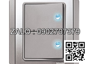 Bộ 2 công tắc 2 chiều Clipsal / Schneider E3032H2_EBGS_G19
