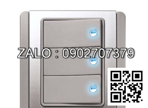 Bộ 3 công tắc 2 chiều Clipsal / Schneider E3033H2_EBGS_G19