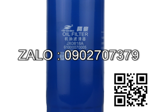 Oil Filter JX0818A