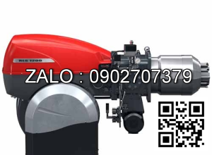 Bộ đầu đốt R.H.E RS 100 typ 822 T1