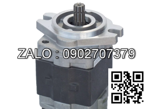 Bơm thủy lực bánh răng CBKP-100-BFPL