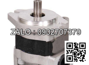 Bơm thủy lực bánh răng CBHQ-F27.2-ALHL