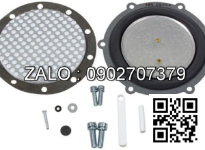 KIT-VALVE GRIND GASKET 994725 CL