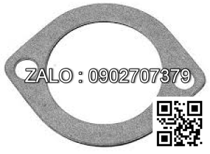 GASKET-THERMOSTAT 74942491 AC