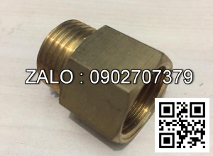 Băng Sông Thau Ren Trong