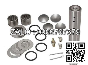 KING PIN REPAIR KIT W/KING PIN 40022-51K25 NI