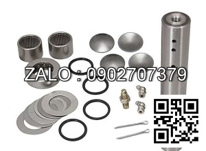 KING PIN KIT WITH PIN 40022-51K25 NI