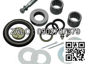 KING PIN REPAIR KIT 04431-20052-71 TY