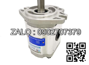 Bơm thủy lực bánh răng CBTD-F432-ALHR