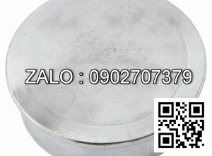 HUB CAP 5042242-23 YT