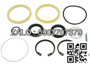 TILT CYL KIT 5042362-45 YT