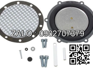 KIT-VALVE GRIND GASKET 2I6310