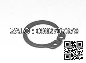 RING-RETAINING 060009-083