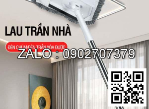 Cây lau trần nhà (kiện 100 cái)