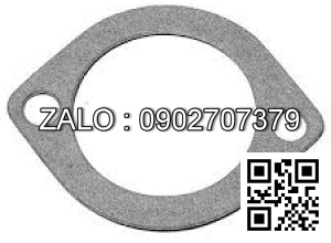 GASKET-THERMOSTAT N-11062-S3001