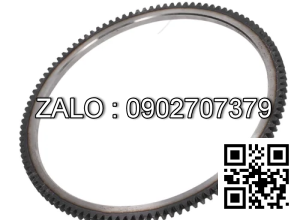 GEAR-RING 117 TEETH 220013353