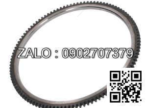GEAR-RING 132 TEETH 220025002