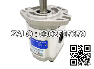 Bơm thủy lực bánh răng CBTD-F430-ALHL