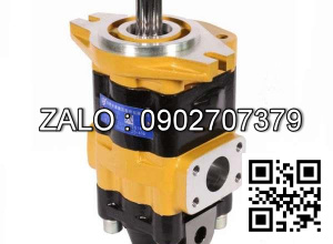 Bơm thủy lực bánh răng CBHC-F20-ALPL