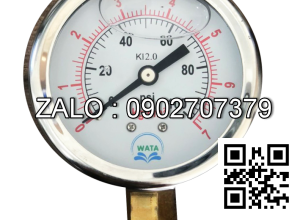 Đồng hồ đo áp suất nước 0 - 100 psi