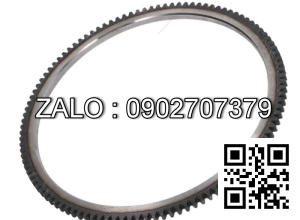 GEAR-RING 117 TEETH 195856 HY
