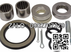 KING PIN KIT WITH PIN 40022-11H26