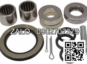 KING PIN REPAIR KIT 40022-L6026