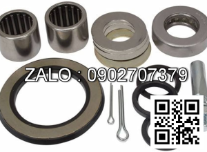 KING PIN KIT WITH PIN 24234-39803