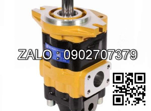 Bơm thủy lực bánh răng CBHC-F20-ALOL