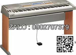 Đàn Organ Casio WK-8000