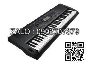 Đàn Organ Casio CTK-3000