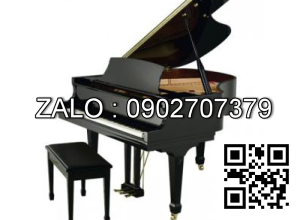 Đàn Piano Brandnew Essex EGP-155T