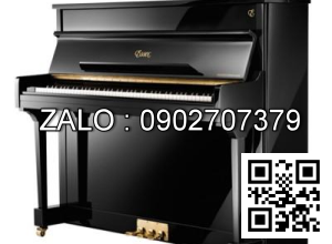 Đàn Piano Brandnew Essex EUP-111E