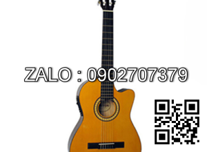 Đàn guitar SDG-6CENL