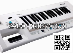 Đàn Roland Lucina AX-09