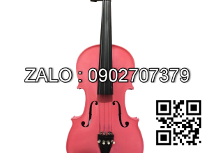 Đàn Pearl River Violin V005