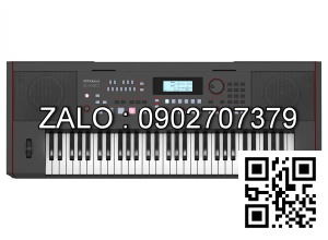 Đàn Organ Roland E-50